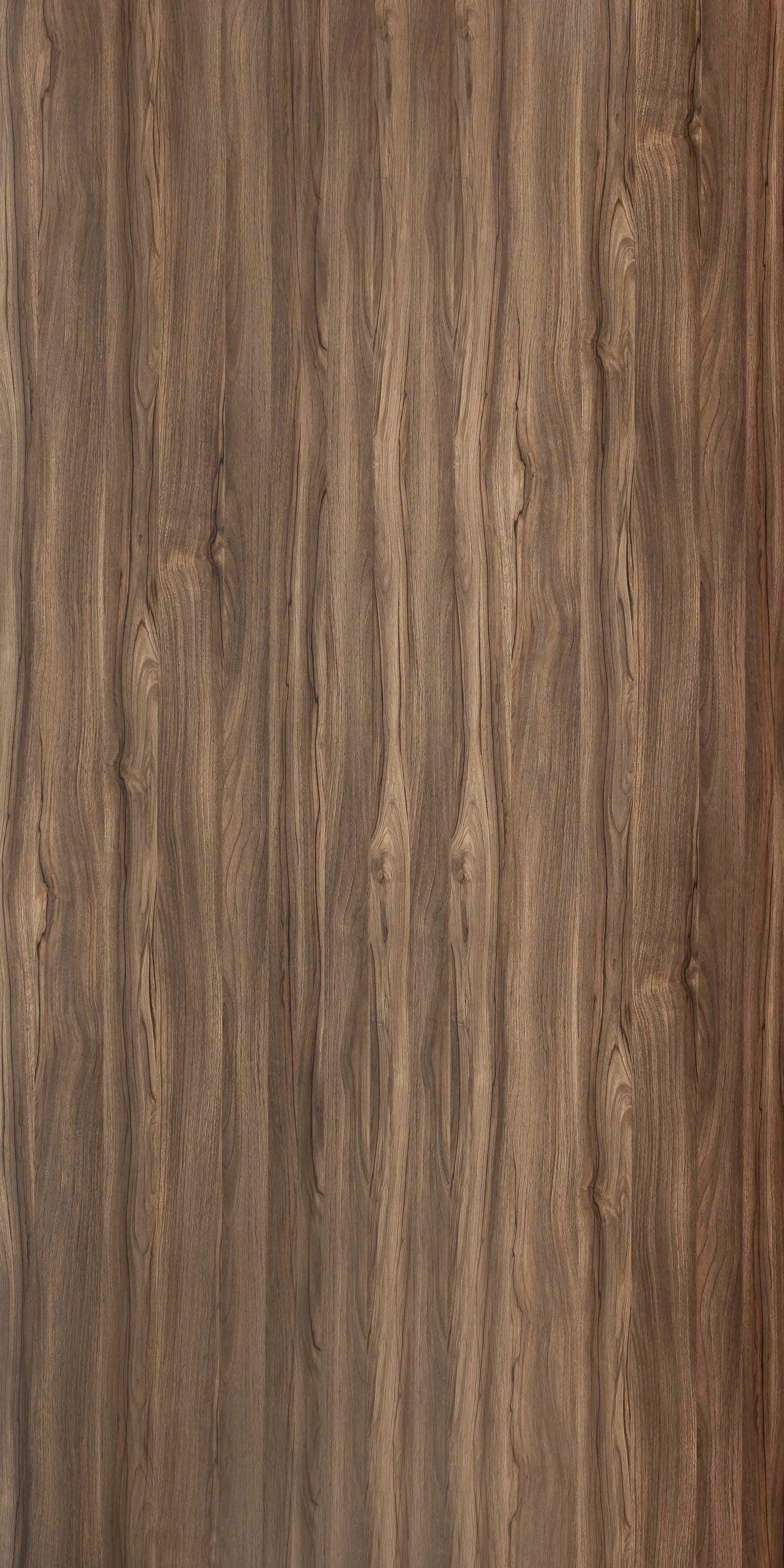 5808 - North American Black Walnut