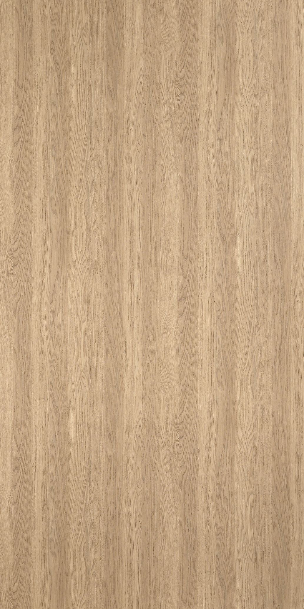 5887 - Millennium Oak | Sample