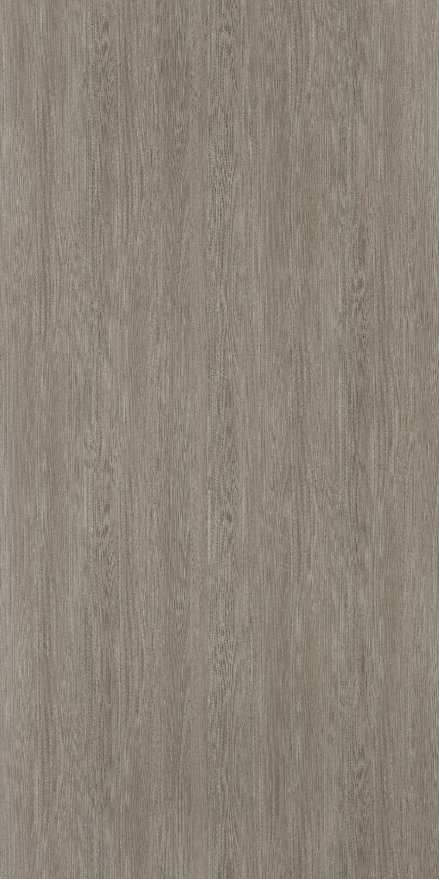 6081 - Tea Oak | Sample