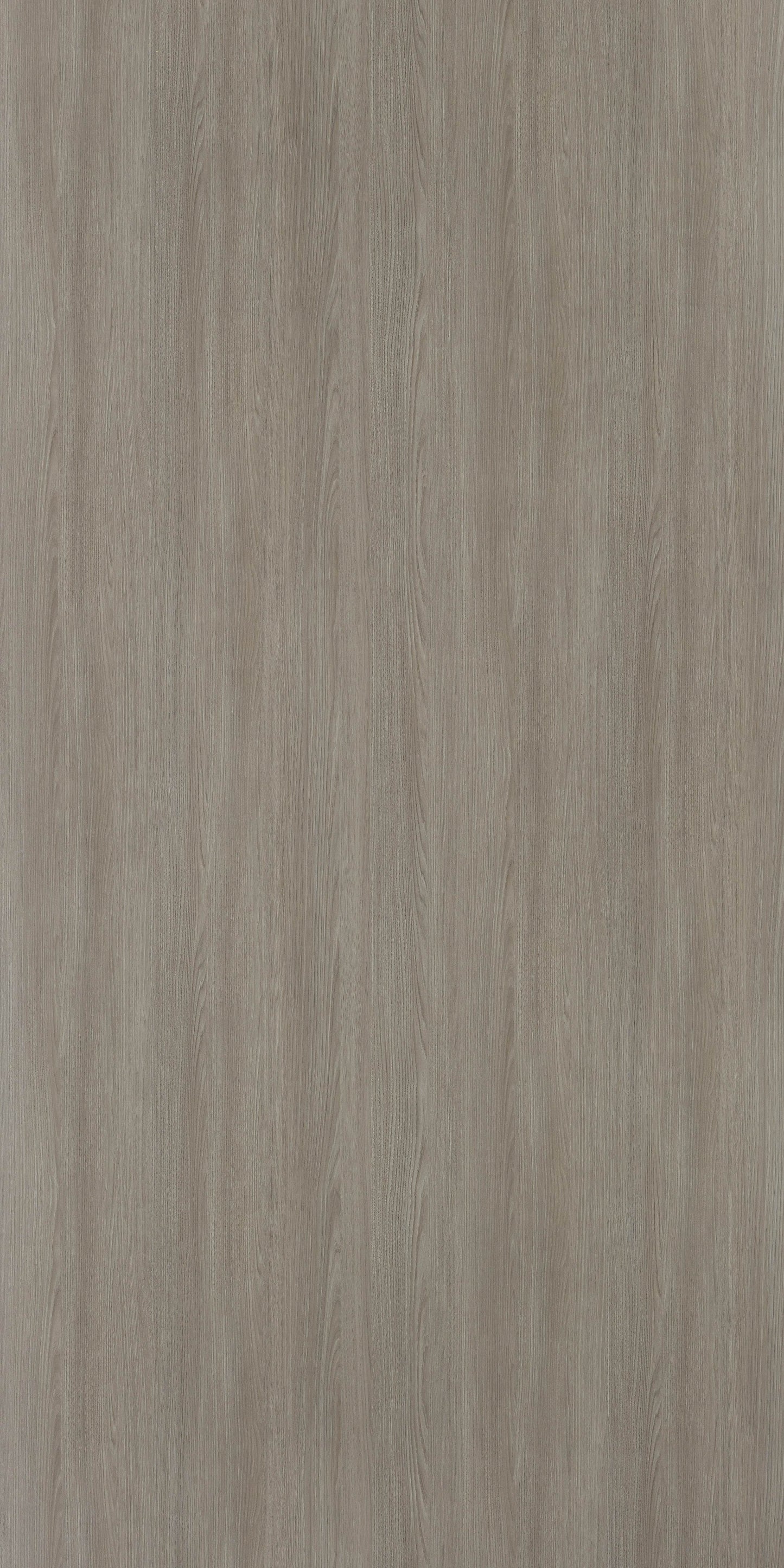 6081 - Tea Oak