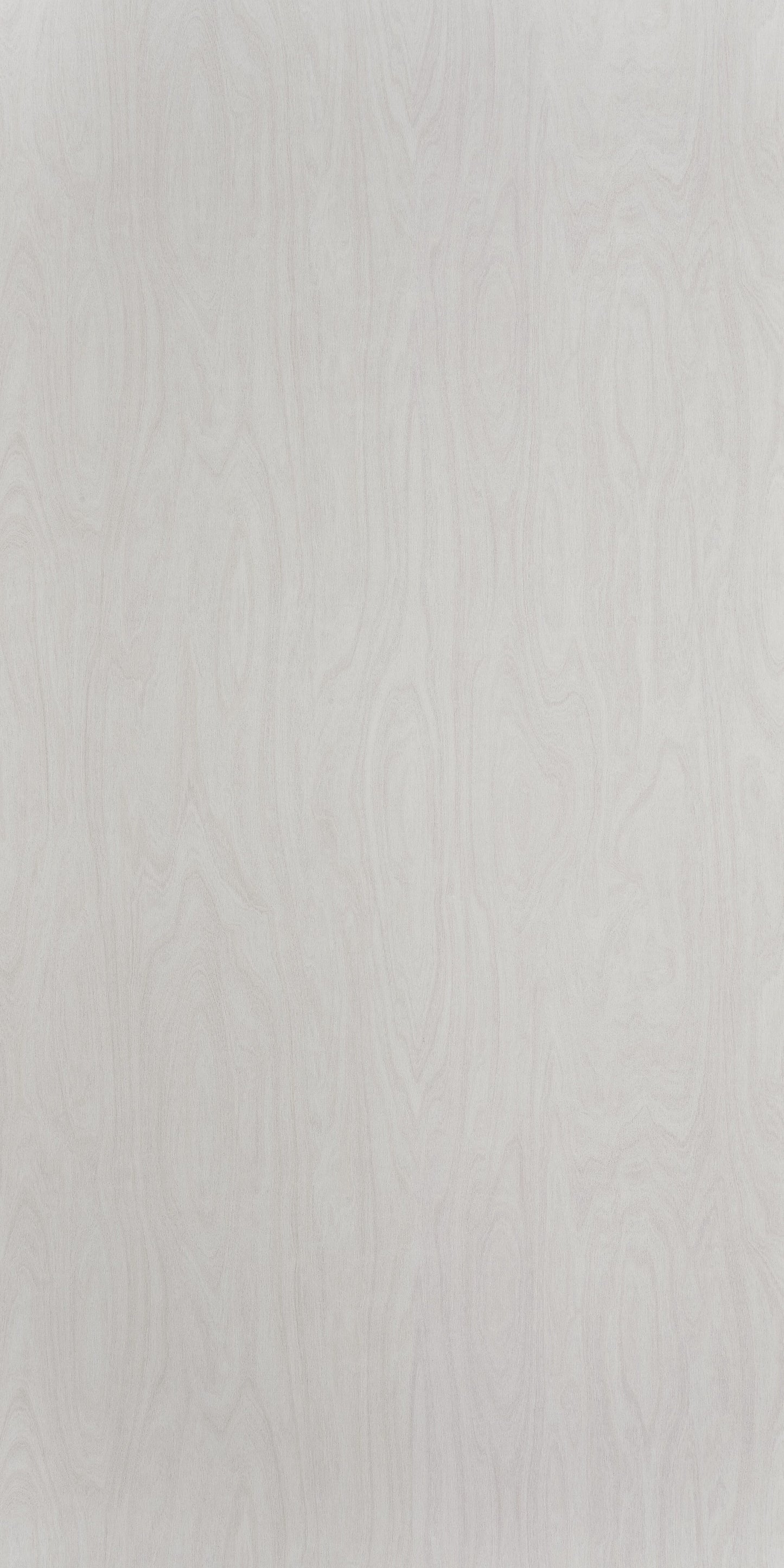 6372 - White Washed Birchply | Sample