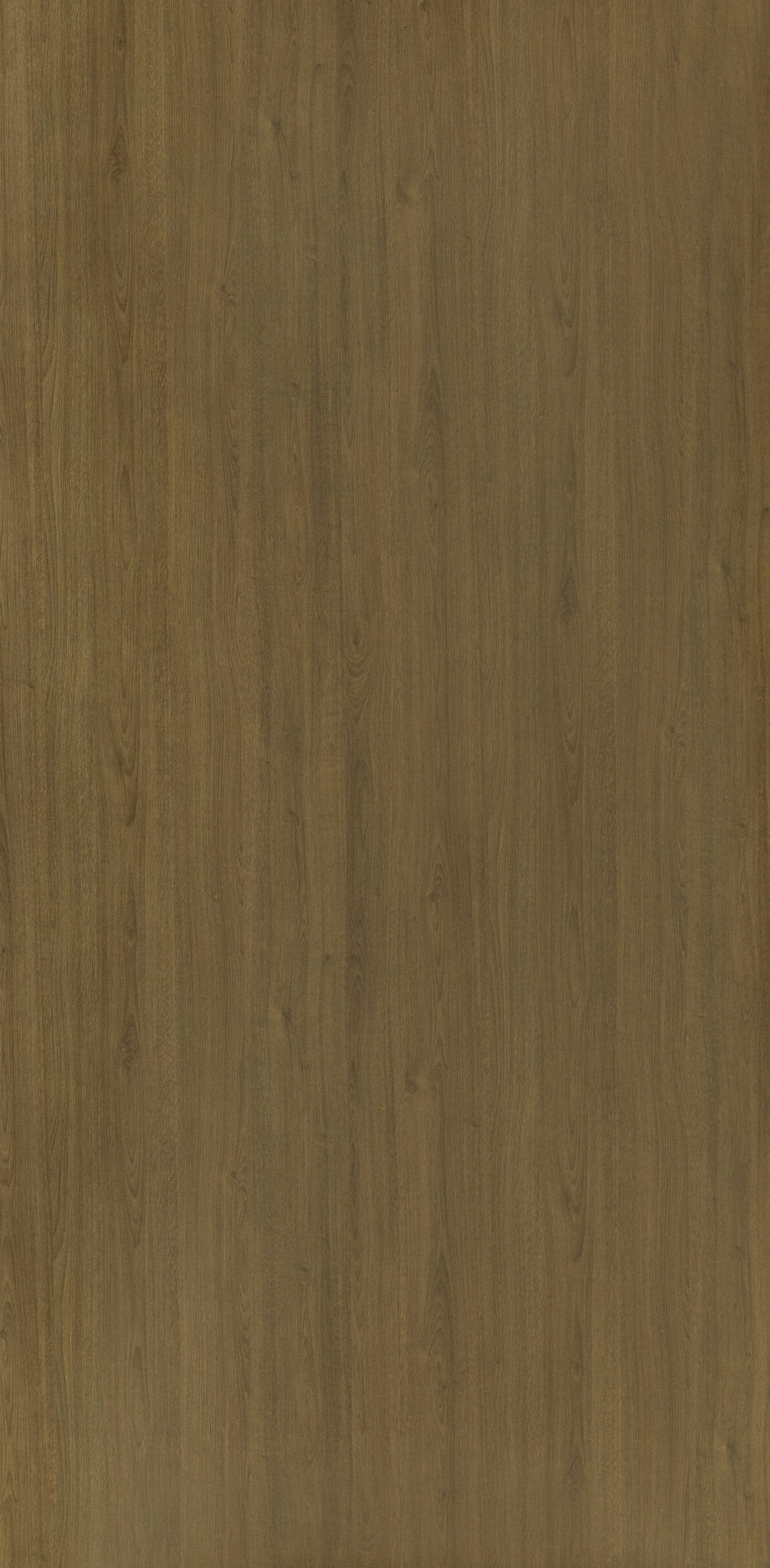 7389 - Select Tan Oak | Sample