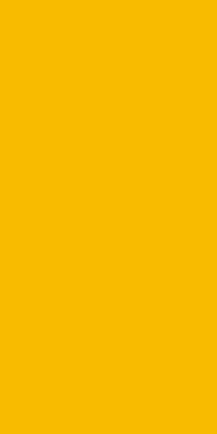 7940 - Spectrum Yellow | Sample