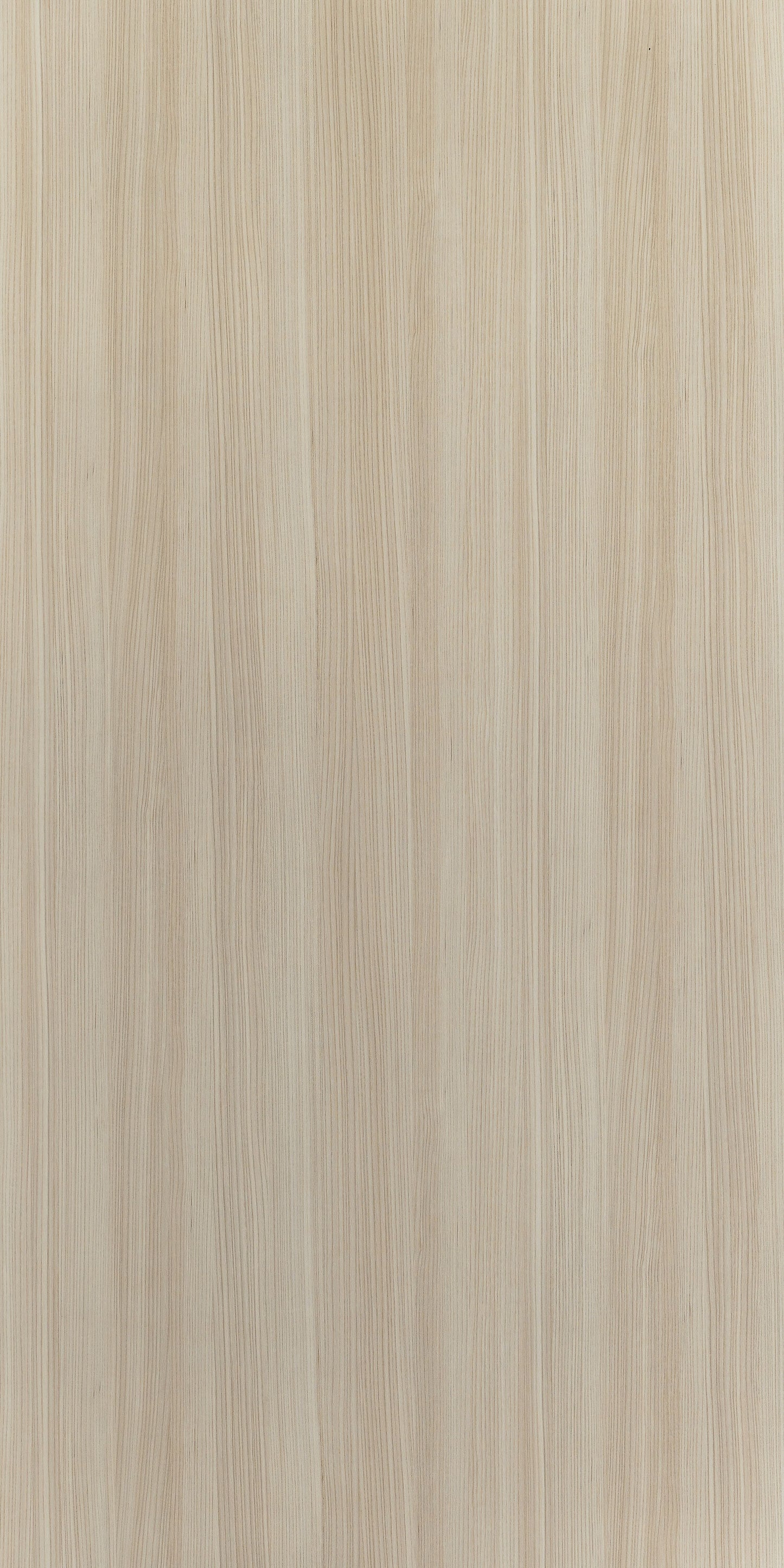 CR8578 - Sund Elm