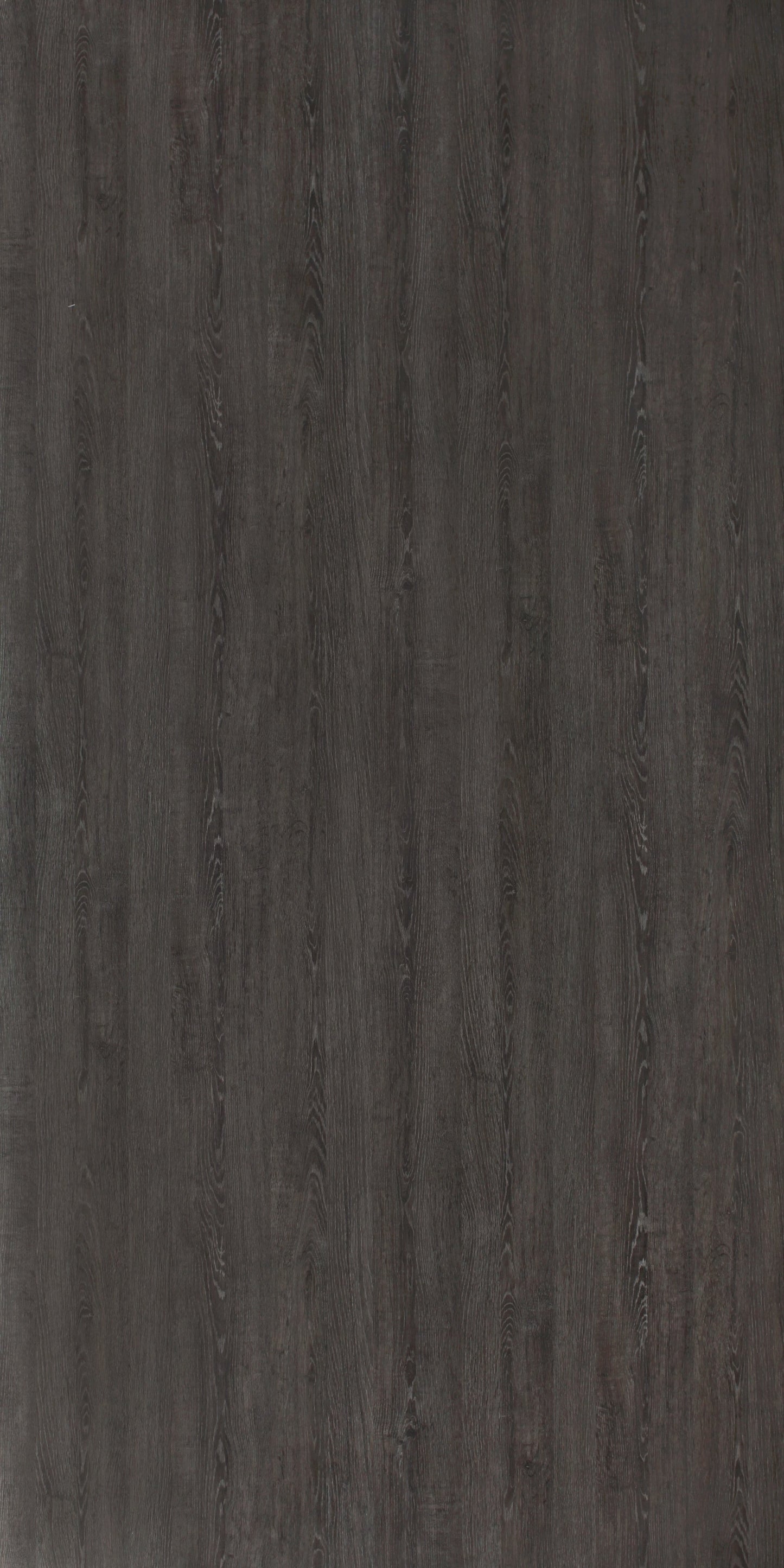 8967 - Logan Oak | Sample