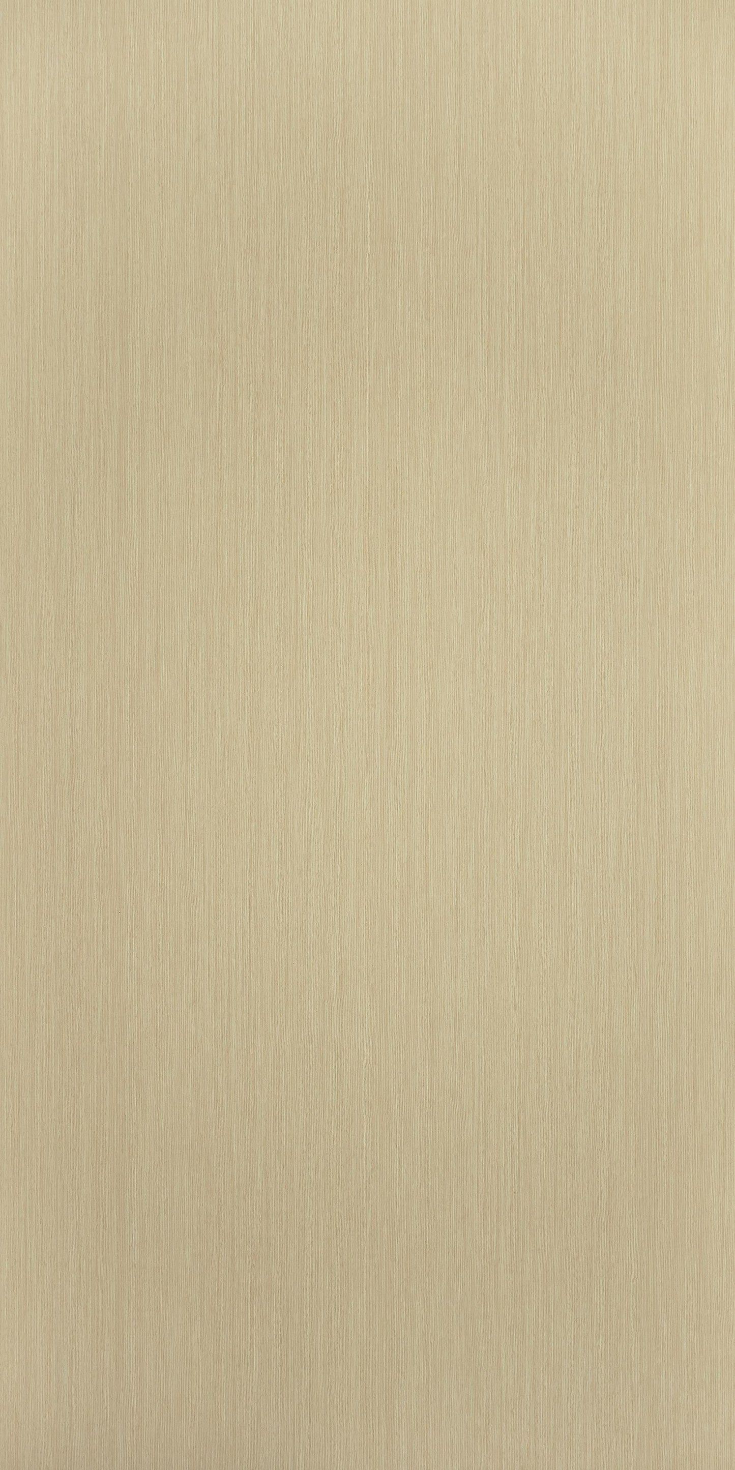 CR9281 - Ash Riftwood | Sample