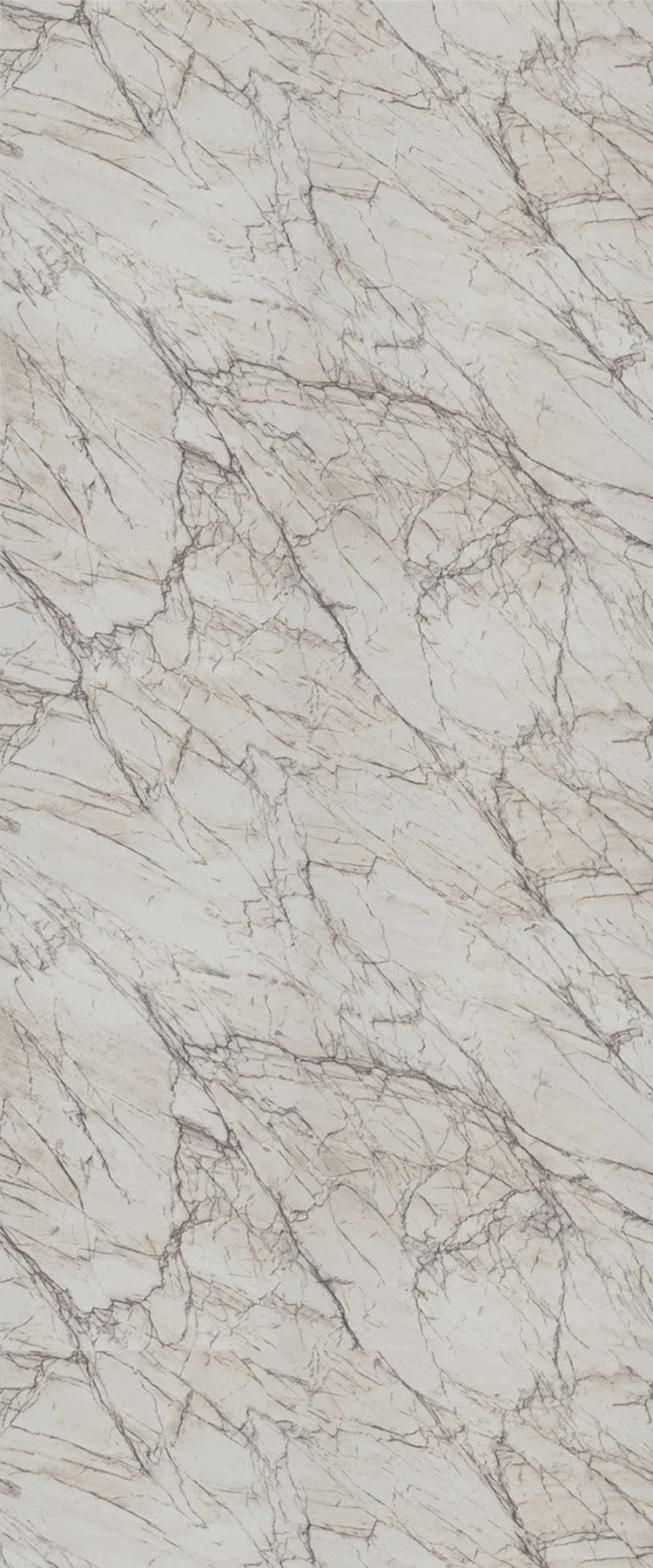 9536 - Menswear Plaid | Sample