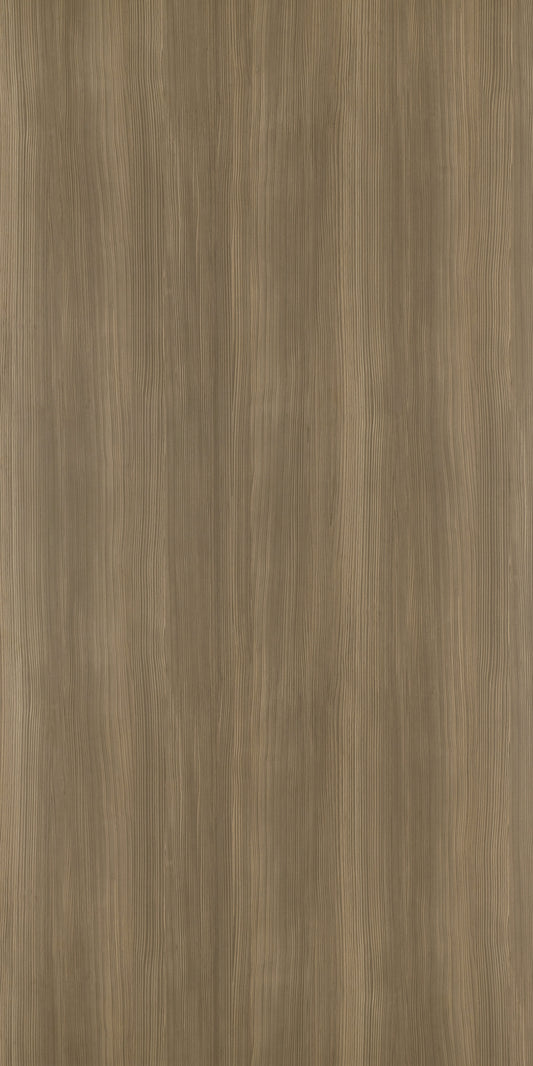 9937 - Camel Laricina