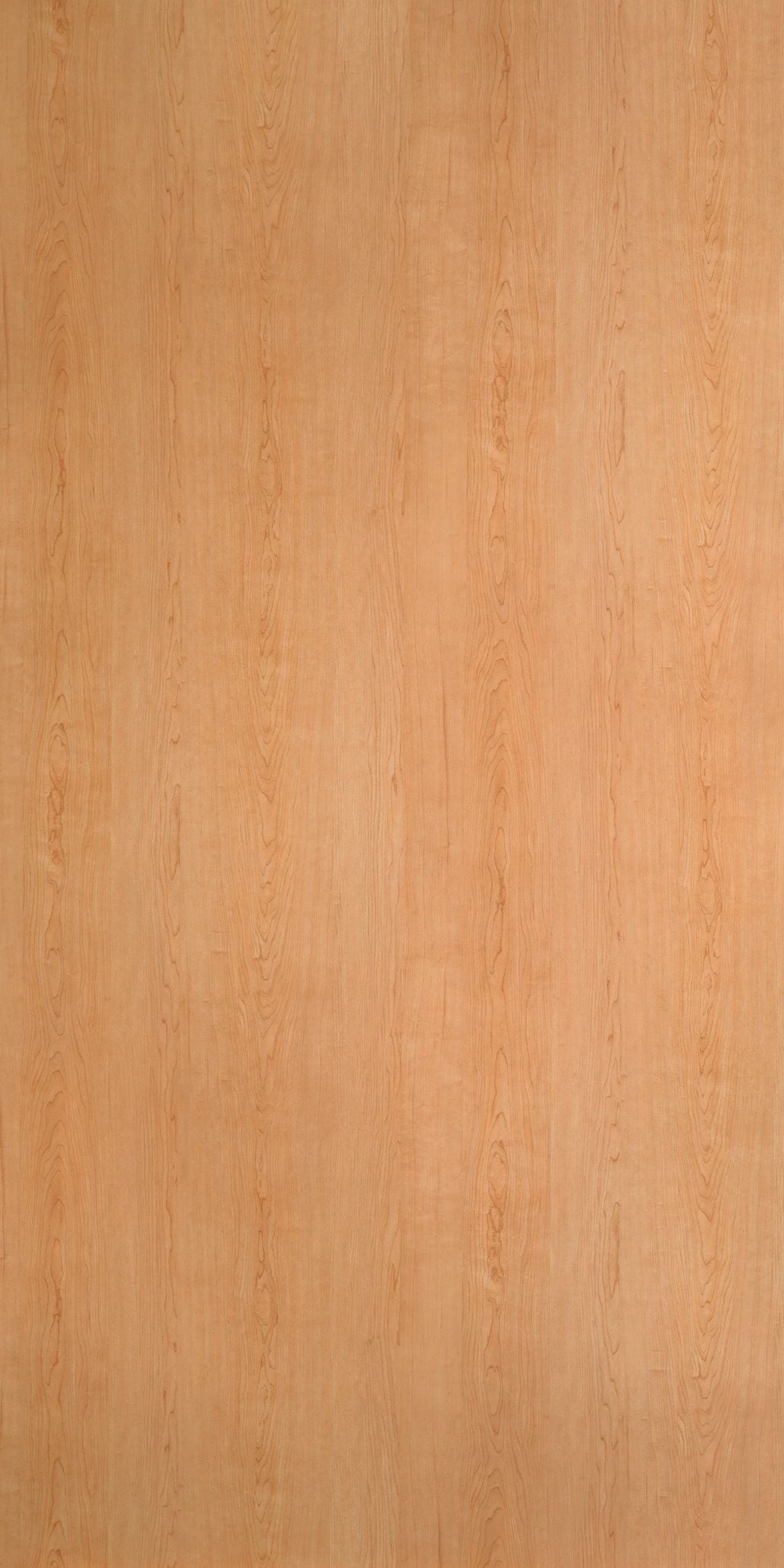 9966 - Hill Top Maple | Sample