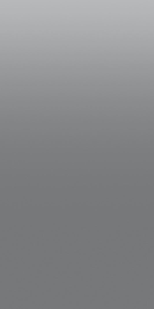 9979 - Argent