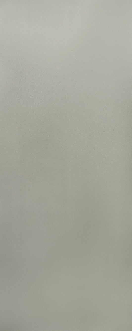 D6428 - Hammered Argent