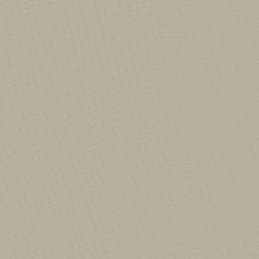 D6433 - Woven Argent | Sample