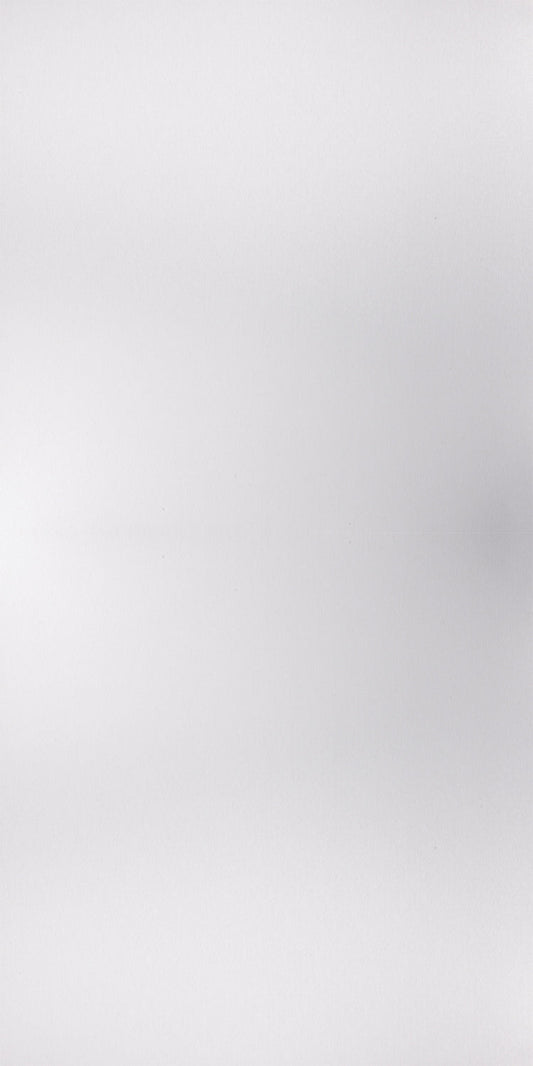 D8124 - Silver Brush | Sample