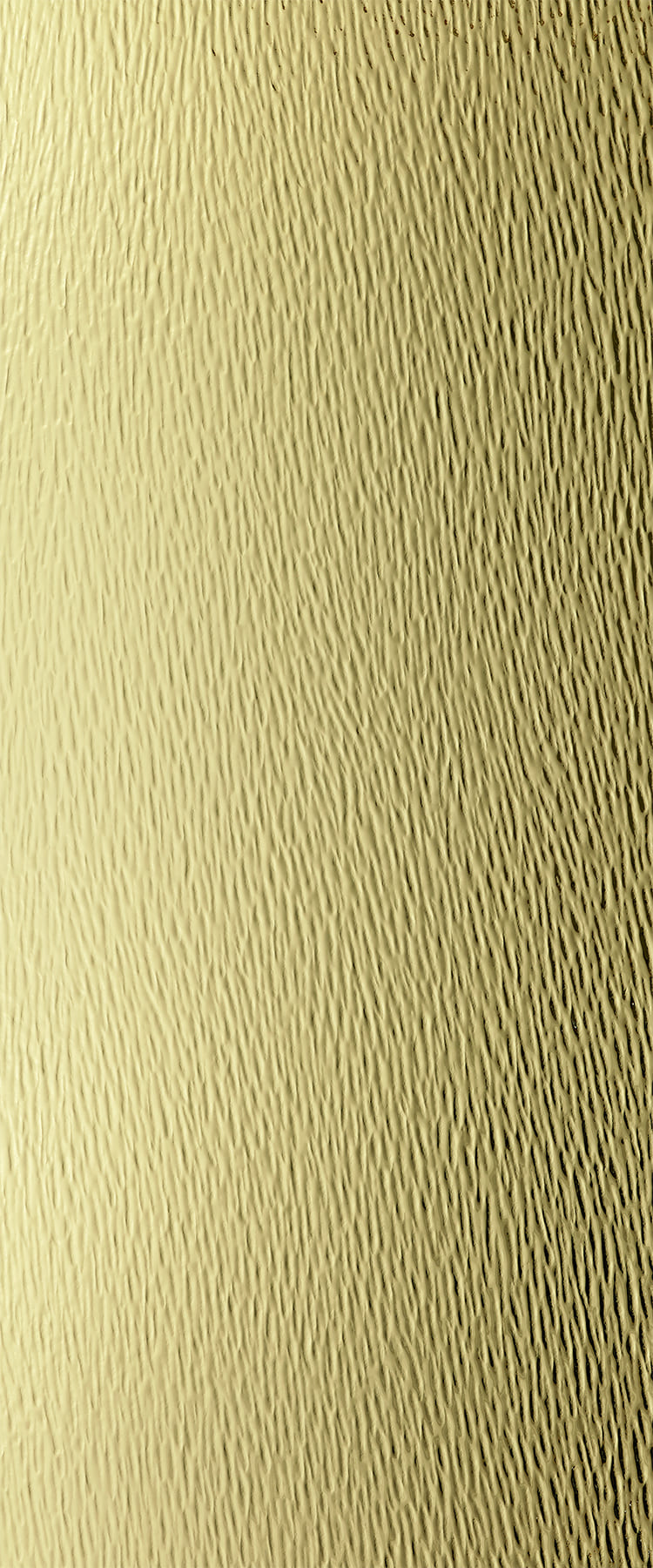 D8282 - Cascade Goldtone | Sample