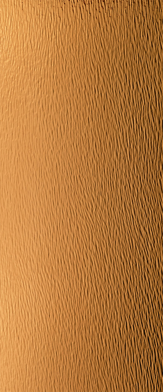 D8283 - Cascade Tea | Sample