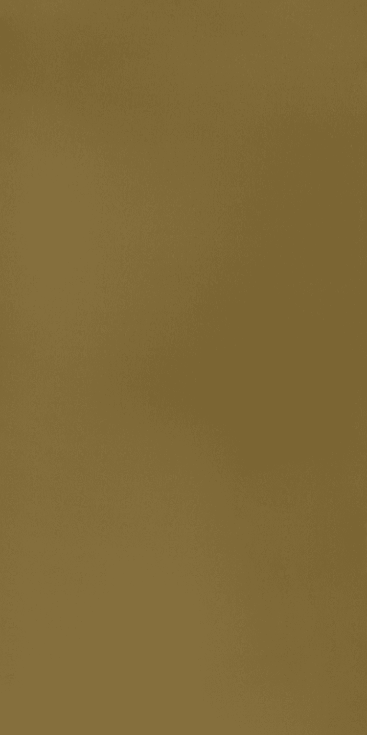 D9410 - Brushed Coin | Sample